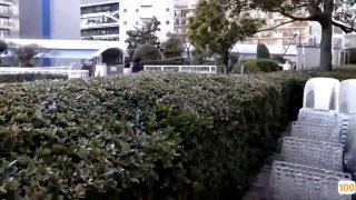欧美日韩高清在线观看邀🍆放一个东南亚毛片黄片🍆